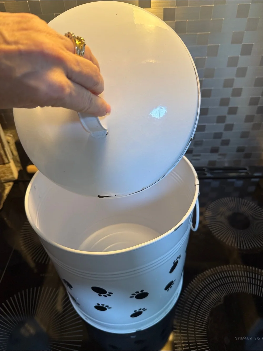 White Enamel Wear Paw-Print Metal Canister with Lid - Home Accents